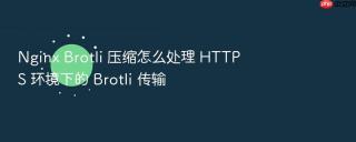 nginx brotli 压缩怎么处理 https 环境下的 brotli 传输
