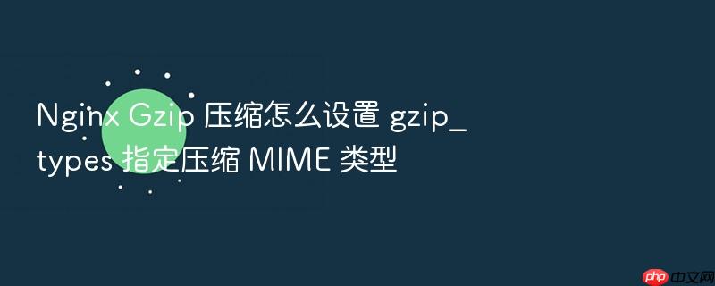 nginx gzip 压缩怎么设置 gzip_types 指定压缩 mime 类型