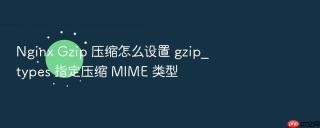 nginx gzip 压缩怎么设置 gzip_types 指定压缩 mime 类型