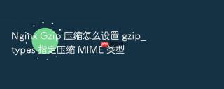 Nginx Gzip 压缩怎么设置 gzip_types 指定压缩 MIME 类型