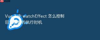 Vue 3 中 watchEffect 怎么控制回调函数的执行时机