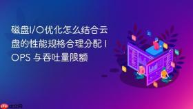 磁盘I/O优化怎么结合云盘的性能规格合理分配 IOPS 与吞吐量限额
