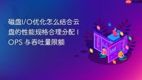 磁盘i/o优化怎么结合云盘的性能规格合理分配 iops 与吞吐量限额