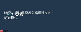 Nginx 模块管理怎么编译独立的动态模块