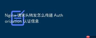 Nginx 请求头转发怎么传递 Authorization 认证信息