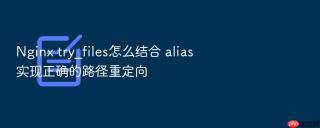 nginx try_files怎么结合 alias 实现正确的路径重定向