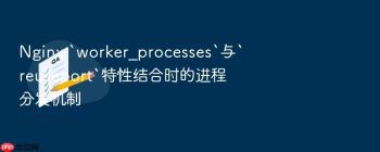 Nginx `worker_processes`与`reuseport`特性结合时的进程分发机制