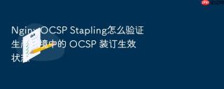 nginx ocsp stapling怎么验证生产环境中的 ocsp 装订生效状态