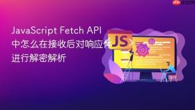 javascript fetch api 中怎么在接收后对响应体进行解密解析