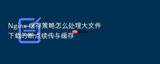 nginx 缓存策略怎么处理大文件下载的断点续传与缓存
