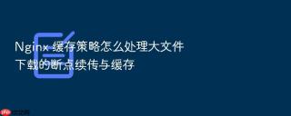 Nginx 缓存策略怎么处理大文件下载的断点续传与缓存