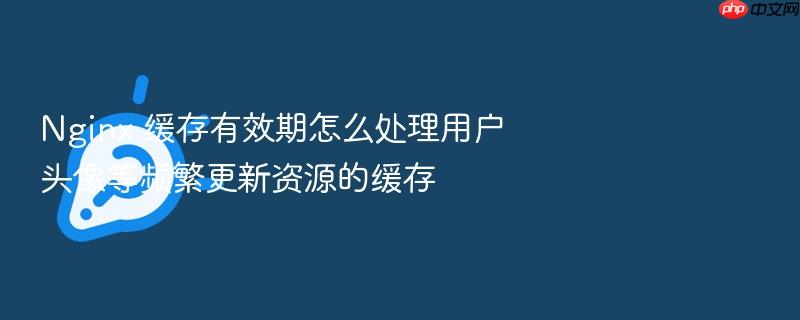nginx 缓存有效期怎么处理用户头像等频繁更新资源的缓存