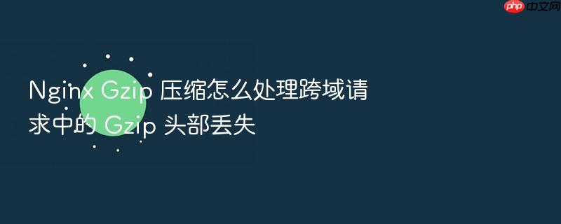 nginx gzip 压缩怎么处理跨域请求中的 gzip 头部丢失