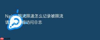 Nginx 限流限速怎么记录被限流请求的详细访问日志