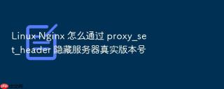 Linux Nginx 怎么通过 proxy_set_header 隐藏服务器真实版本号