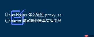 linux nginx 怎么通过 proxy_set_header 隐藏服务器真实版本号