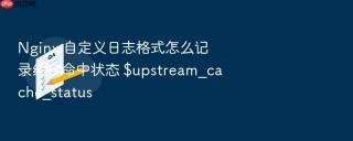 nginx 自定义日志格式怎么记录缓存命中状态 $upstream_cache_status
