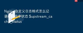 Nginx 自定义日志格式怎么记录缓存命中状态 $upstream_cache_status