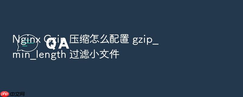 nginx gzip 压缩怎么配置 gzip_min_length 过滤小文件
