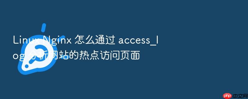 linux nginx 怎么通过 access_log 分析网站的热点访问页面