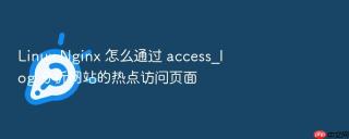 linux nginx 怎么通过 access_log 分析网站的热点访问页面