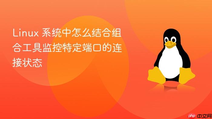 linux 系统中怎么结合组合工具监控特定端口的连接状态