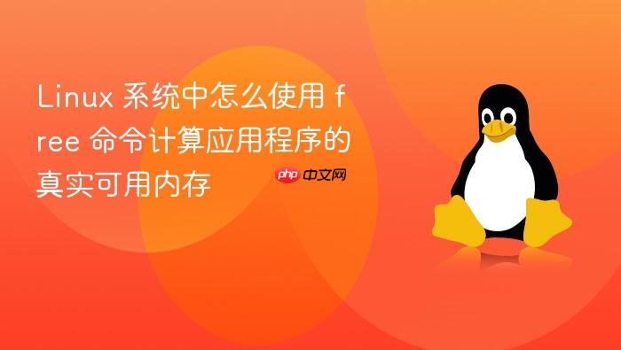 linux 系统中怎么使用 free 命令计算应用程序的真实可用内存