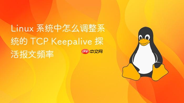 linux 系统中怎么调整系统的 tcp keepalive 探活报文频率