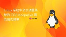 linux 系统中怎么调整系统的 tcp keepalive 探活报文频率