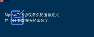 Nginx TLS协议怎么配置自定义的 DH 参数增强加密强度