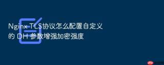 nginx tls协议怎么配置自定义的 dh 参数增强加密强度