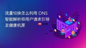 流量切换怎么利用 dns 智能解析将用户请求引导至健康机房