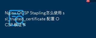 nginx ocsp stapling怎么使用 ssl_trusted_certificate 配置 ocsp 根证书