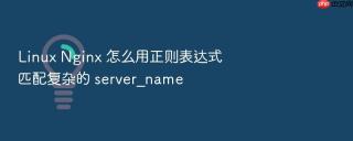 Linux Nginx 怎么用正则表达式匹配复杂的 server_name