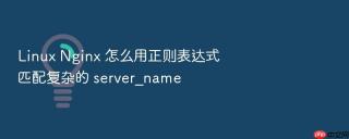 linux nginx 怎么用正则表达式匹配复杂的 server_name