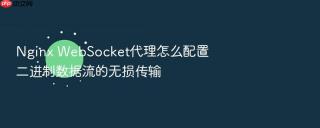 nginx websocket代理怎么配置二进制数据流的无损传输