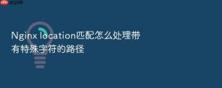 nginx location匹配怎么处理带有特殊字符的路径