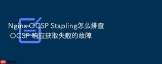 Nginx OCSP Stapling怎么排查 OCSP 响应获取失败的故障