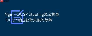 nginx ocsp stapling怎么排查 ocsp 响应获取失败的故障