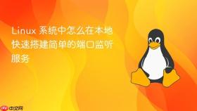 Linux 系统中怎么在本地快速搭建简单的端口监听服务