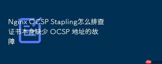 Nginx OCSP Stapling怎么排查证书本身缺少 OCSP 地址的故障