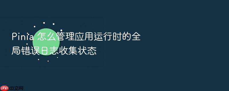 pinia 怎么管理应用运行时的全局错误日志收集状态