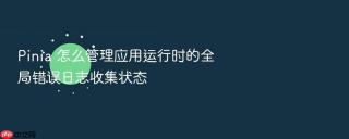 pinia 怎么管理应用运行时的全局错误日志收集状态