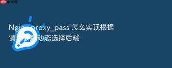 Nginx proxy_pass 怎么实现根据请求参数动态选择后端