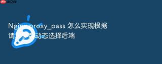 Nginx proxy_pass 怎么实现根据请求参数动态选择后端