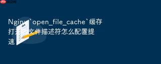 Nginx `open_file_cache`缓存打开的文件描述符怎么配置提速
