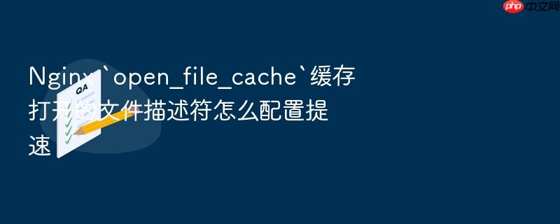 nginx `open_file_cache`缓存打开的文件描述符怎么配置提速