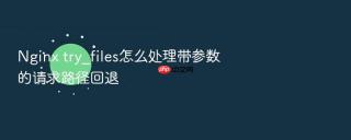 nginx try_files怎么处理带参数的请求路径回退