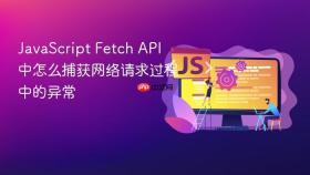 javascript fetch api 中怎么捕获网络请求过程中的异常