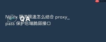 Nginx 限流限速怎么结合 proxy_pass 保护后端脆弱接口